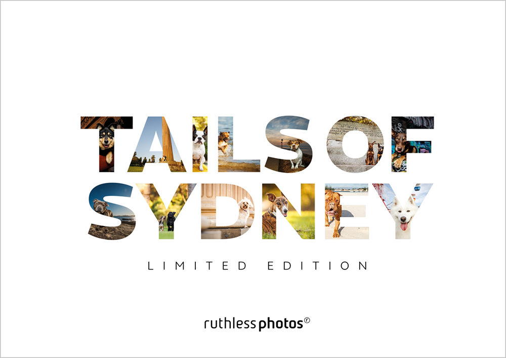 Tails of Sydney dog photography book