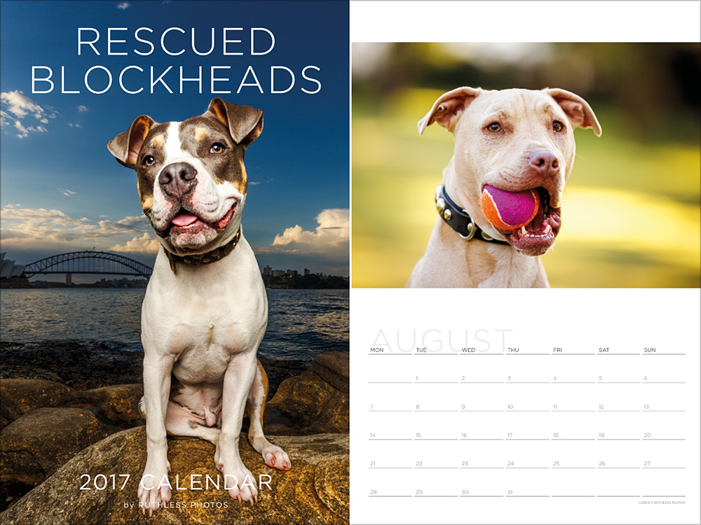 2017 pitbull calendar