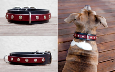 Ruthless Leather Update #6 | strong dog collars