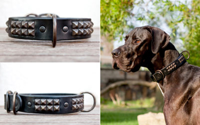 Ruthless Leather Update #8 | strong dog collars