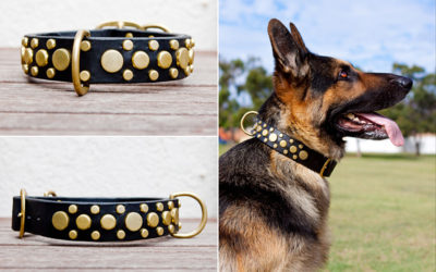 Ruthless Leather Update # 7 | strong dog collars