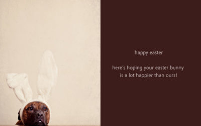 Happy Easter! | Sydney Dog Photographer