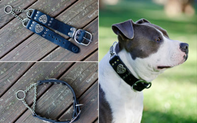 Ruthless Leather Update #10 | strong dog collars