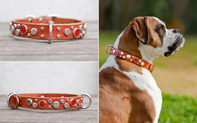 Ruthless Leather Update #11 | strong dog collars