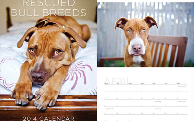 2014 calendars | Sydney Dog Photographer