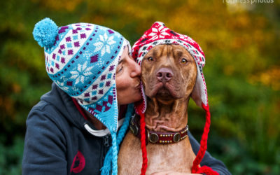 Daxter – Underdog to Wonderdog | Canberra Dog Photographer