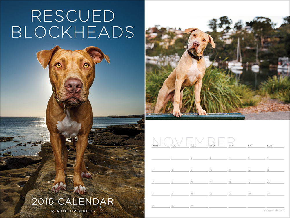 2016 rescued blockheads calendar