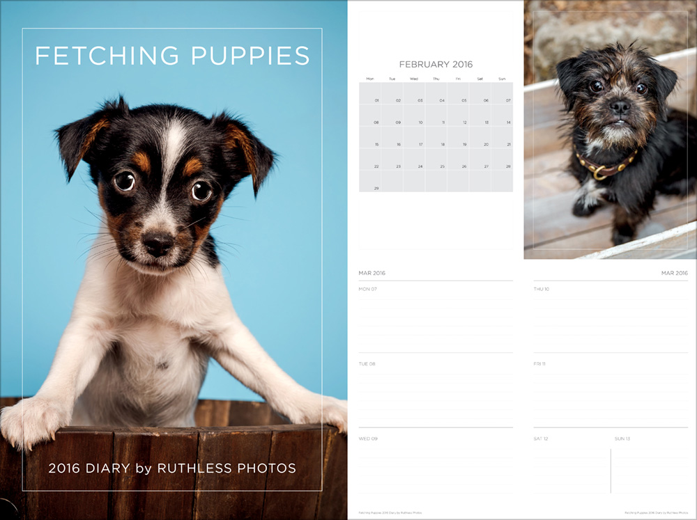 2016 fetching puppies diary