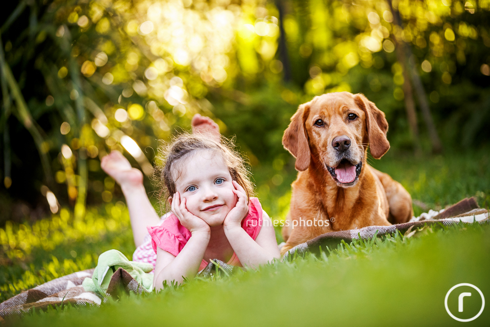 labrador lying on grass with young girl