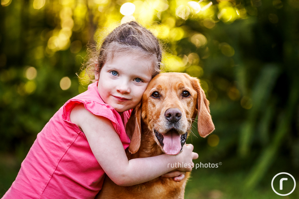 labrador being hugged by young girl