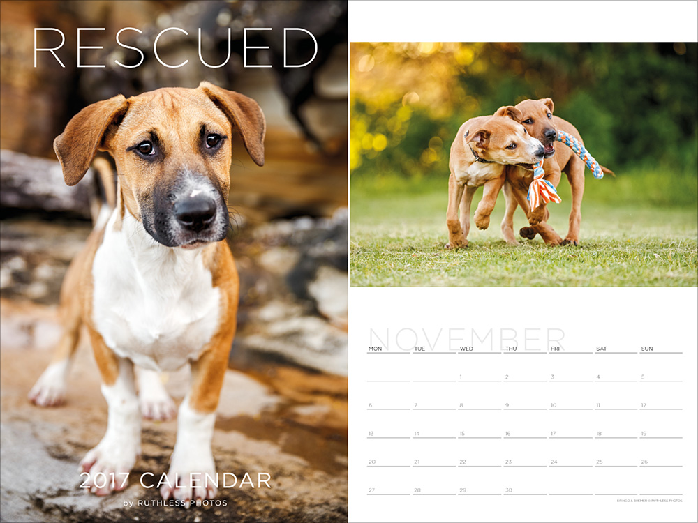 2017 rescue dog calendar