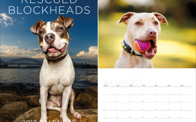 2017 calendars and diary | Sydney Dog Photographer