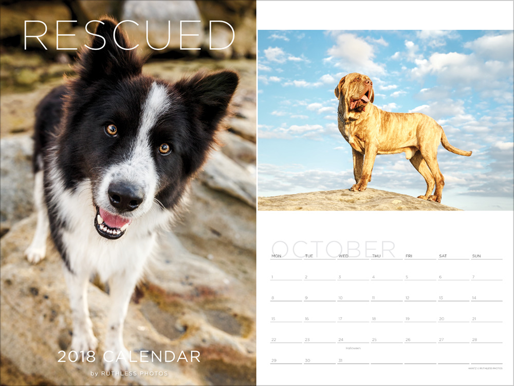 2018 rescue dog calendar