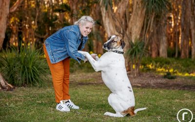 Adopt Me 06.18 – Sydney Dog Photos
