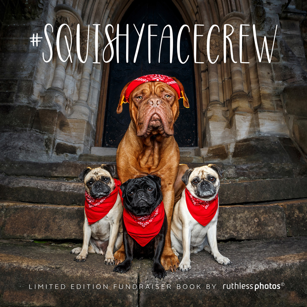 squishy face crew book cover