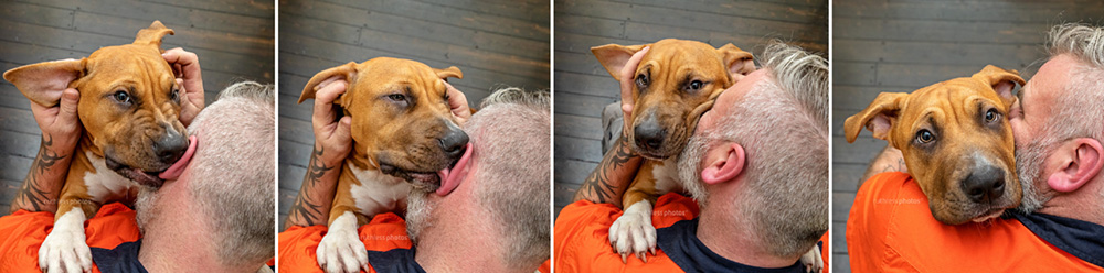 pit bull kiss cuddle with tradesman