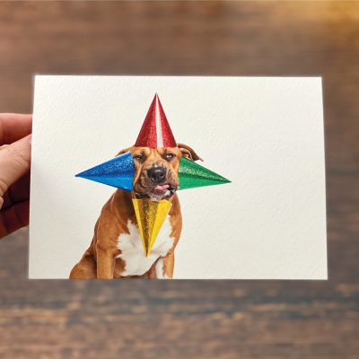 funny dog birthday card