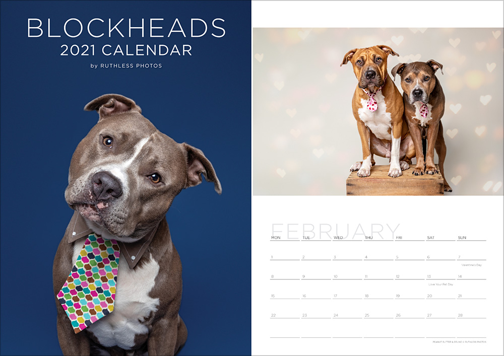 2021_calendar_blockheads_cover