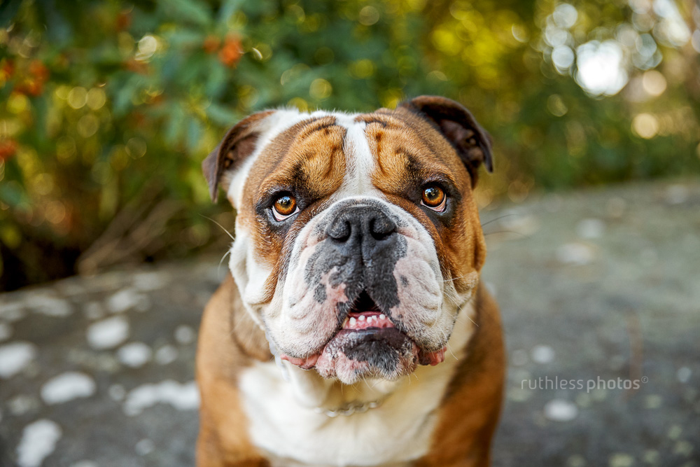 ruthlessphotos-LR-5036 gus fat head