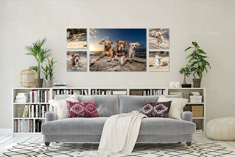2023-008 Oryx, Keeya and Sunny – Bohemian Modern Living Room II Plaster Wall